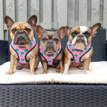 Load image into Gallery viewer, Jellyfish - Reversible Harness, Collar & Lead Bundle