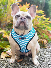 Load image into Gallery viewer, Blue La La - Reversible Harness