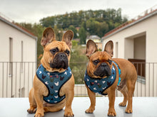 Load image into Gallery viewer, Blue La La - Reversible Harness