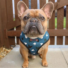 Load image into Gallery viewer, Blue La La - Reversible Harness