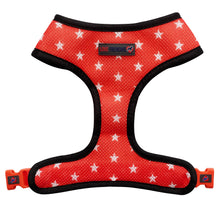 Load image into Gallery viewer, Sailor Jerry - Reversible Harness, Collar & Lead Bundle