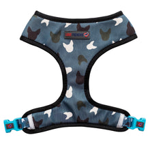 Load image into Gallery viewer, Blue La La - Reversible Harness, Collar & Lead Bundle