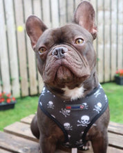 Load image into Gallery viewer, Don't Cross Me - Reversible Harness, Collar & Lead Bundle