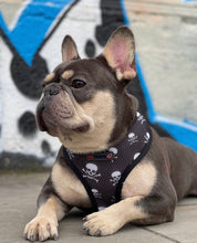 Load image into Gallery viewer, Don't Cross Me - Reversible Harness