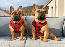 Load image into Gallery viewer, Don't Cross Me - Reversible Harness