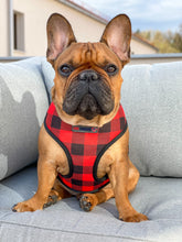 Load image into Gallery viewer, Don't Cross Me - Reversible Harness
