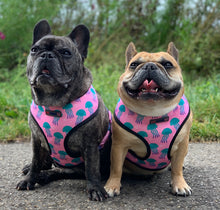 Load image into Gallery viewer, Jellyfish - Reversible Harness