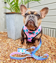 Load image into Gallery viewer, Jellyfish - Reversible Harness