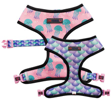 Load image into Gallery viewer, Jellyfish - Reversible Harness, Collar & Lead Bundle