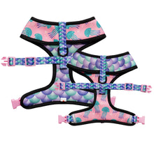Load image into Gallery viewer, Jellyfish - Reversible Harness, Collar & Lead Bundle