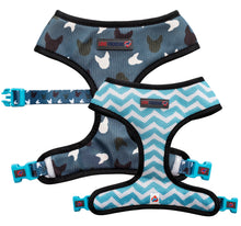Load image into Gallery viewer, Blue La La - Reversible Harness, Collar & Lead Bundle