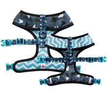 Load image into Gallery viewer, Blue La La - Reversible Harness, Collar & Lead Bundle