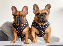 Load image into Gallery viewer, Polka Party - Reversible Harness