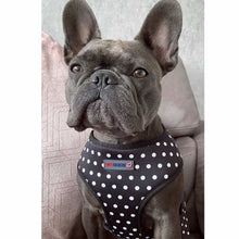 Load image into Gallery viewer, Polka Party - Reversible Harness