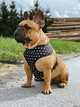 Load image into Gallery viewer, Polka Party - Reversible Harness, Collar & Lead Bundle