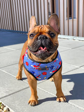 Load image into Gallery viewer, Sailor Jerry - Reversible Harness