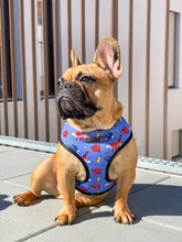 Load image into Gallery viewer, Sailor Jerry - Reversible Harness, Collar & Lead Bundle
