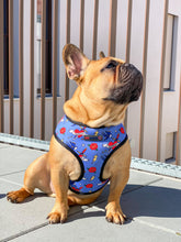 Load image into Gallery viewer, Sailor Jerry - Reversible Harness, Collar & Lead Bundle