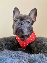Load image into Gallery viewer, Sailor Jerry - Reversible Harness, Collar & Lead Bundle