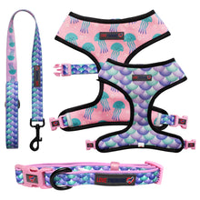 Load image into Gallery viewer, Jellyfish - Reversible Harness, Collar & Lead Bundle