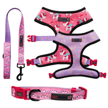 Load image into Gallery viewer, Unicorn Sprinkles - Reversible Harness, Collar & Lead Bundle
