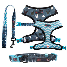 Load image into Gallery viewer, Blue La La - Reversible Harness, Collar & Lead Bundle