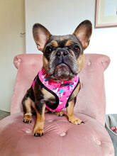 Load image into Gallery viewer, Unicorn Sprinkles - Reversible Harness