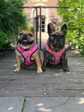 Load image into Gallery viewer, Unicorn Sprinkles - Reversible Harness