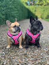 Load image into Gallery viewer, Unicorn Sprinkles - Reversible Harness, Collar & Lead Bundle