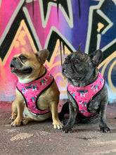 Load image into Gallery viewer, Unicorn Sprinkles - Reversible Harness