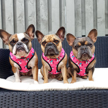 Load image into Gallery viewer, Unicorn Sprinkles - Reversible Harness