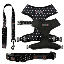 Load image into Gallery viewer, Polka Party - Reversible Harness, Collar & Lead Bundle