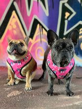 Load image into Gallery viewer, Unicorn Sprinkles - Reversible Harness